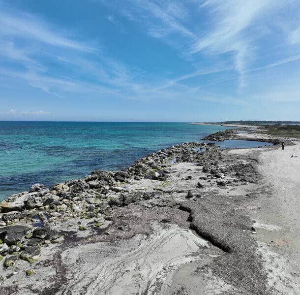 le cesine salento