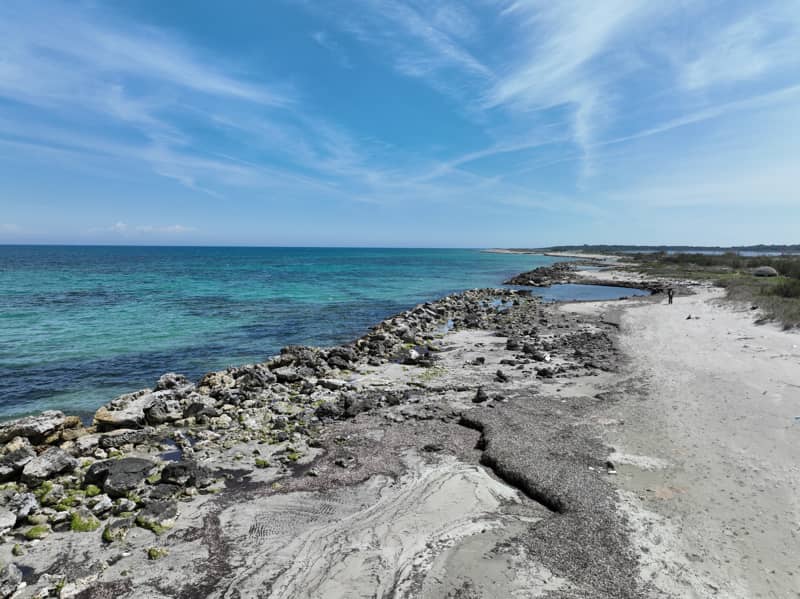 le cesine salento